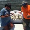 IMG 480846c587e25fc7641f1b4a1adabc579556